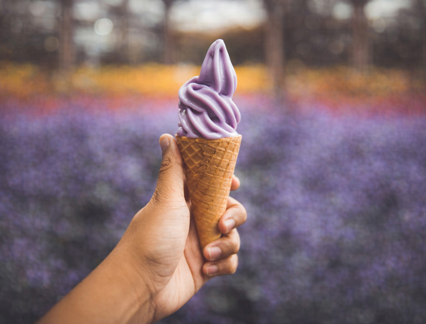 Ice&nbsp;Cream